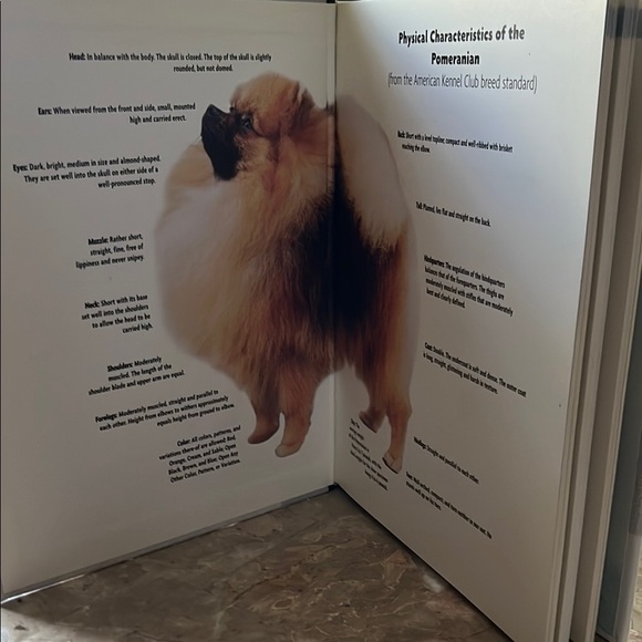 Pomeranian Care Guide Book - Picture 11 of 11